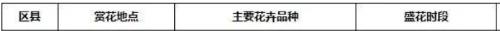 It's official! In spring of 2023, there will be over 270 flower viewing spots in Chongqing!
