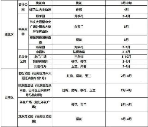 It's official! In spring of 2023, there will be over 270 flower viewing spots in Chongqing!

