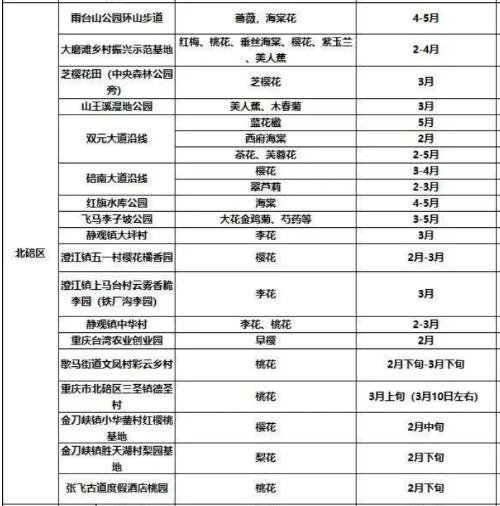 It's official! In spring of 2023, there will be over 270 flower viewing spots in Chongqing!
