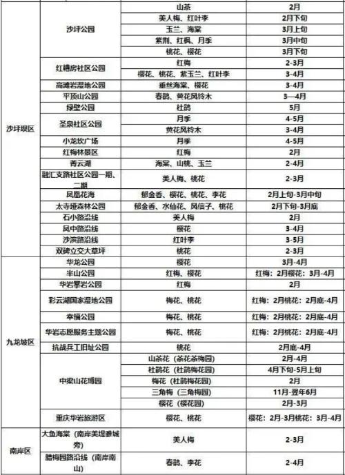 It's official! In spring of 2023, there will be over 270 flower viewing spots in Chongqing!

