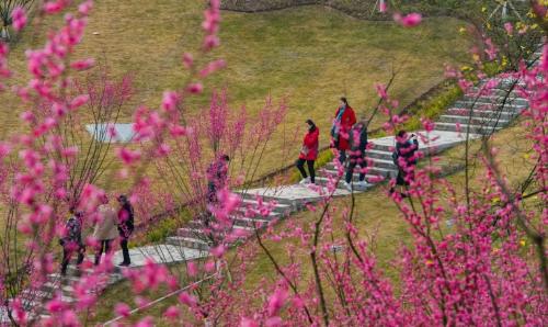 It's official! In spring of 2023, there will be over 270 flower viewing spots in Chongqing!
