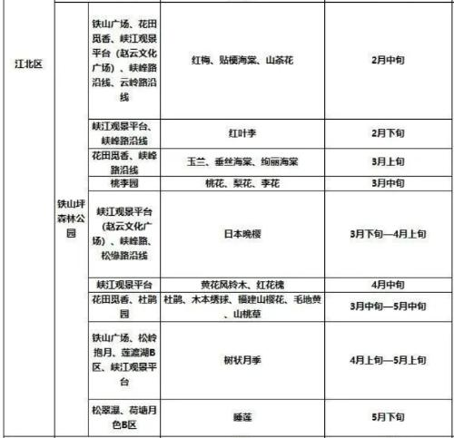 It's official! In spring of 2023, there will be over 270 flower viewing spots in Chongqing!

