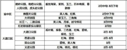 It's official! In spring of 2023, there will be over 270 flower viewing spots in Chongqing!
