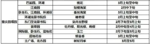 It's official! In spring of 2023, there will be over 270 flower viewing spots in Chongqing!
