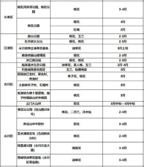 It's official! In spring of 2023, there will be over 270 flower viewing spots in Chongqing!
