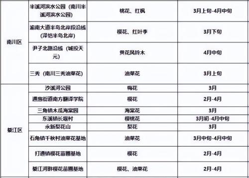 It's official! In spring of 2023, there will be over 270 flower viewing spots in Chongqing!
