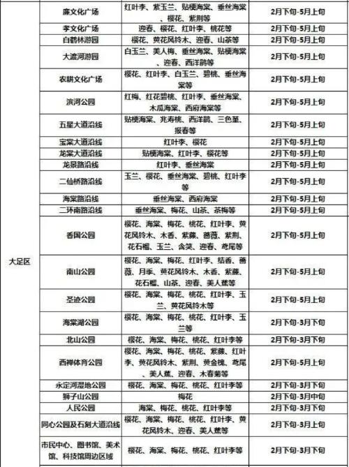 It's official! In spring of 2023, there will be over 270 flower viewing spots in Chongqing!
