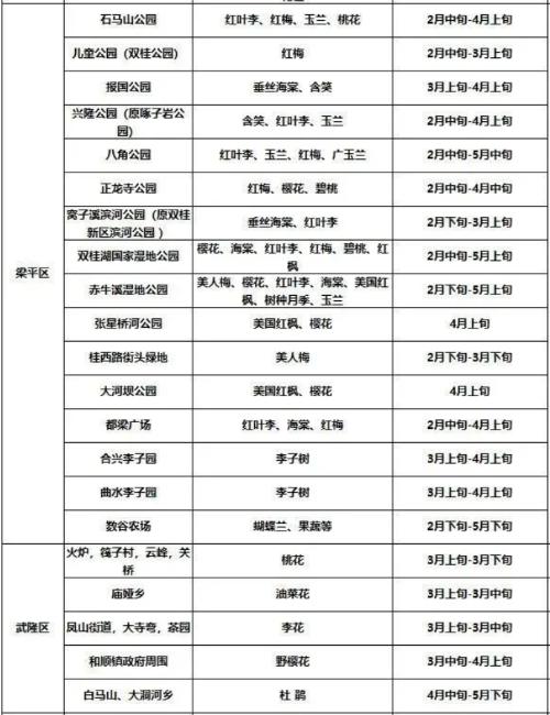 It's official! In spring of 2023, there will be over 270 flower viewing spots in Chongqing!

