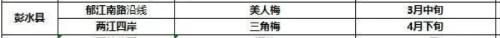 It's official! In spring of 2023, there will be over 270 flower viewing spots in Chongqing!
