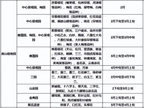 It's official! In spring of 2023, there will be over 270 flower viewing spots in Chongqing!
