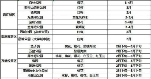 It's official! In spring of 2023, there will be over 270 flower viewing spots in Chongqing!
