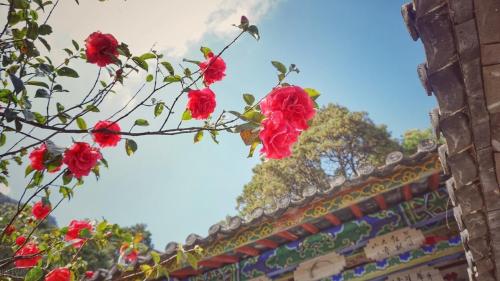 One city, one strategy, fun in Yunnan - Dali in wind, snow and moon