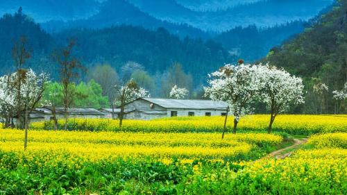 One city, one strategy, fun in Yunnan - Dali in wind, snow and moon