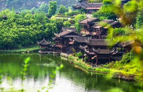 Spring flowers have arrived! Don't waste spring, people in Chongqing are going to enjoy flowers~