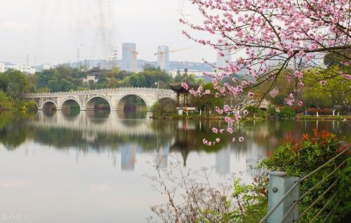 Spring flowers have arrived! Don't waste spring, people in Chongqing are going to enjoy flowers~