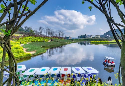 Spring flowers have arrived! Don't waste spring, people in Chongqing are going to enjoy flowers~