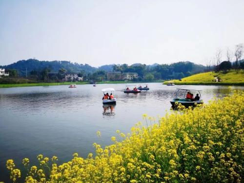 Spring flowers have arrived! Don't waste spring, people in Chongqing are going to enjoy flowers~