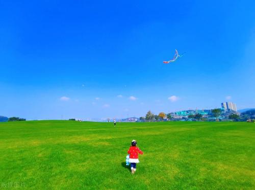 Spring flowers have arrived! Don't waste spring, people in Chongqing are going to enjoy flowers~