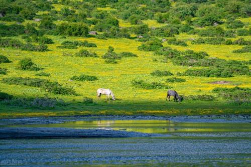Western Sichuan Travel Guide - Mount Xigongyan "After Shu Mountains"
