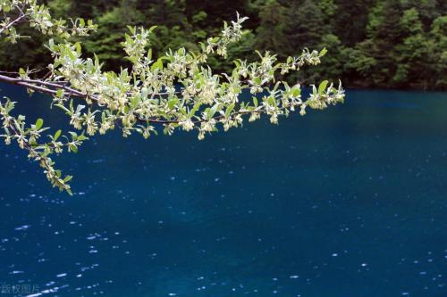 Western Sichuan Travel Guide - Mount Xigongyan "After Shu Mountains"