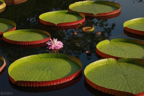 Slow Pace In-Depth Tour (Yunnan) - 8~9 Days South Yunnan Subtropical Tour Detailed Itinerary