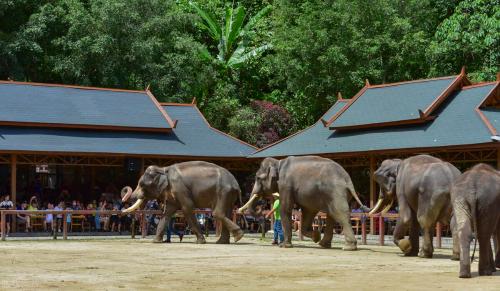 Slow Pace In-Depth Tour (Yunnan) - 8~9 Days South Yunnan Subtropical Tour Detailed Itinerary