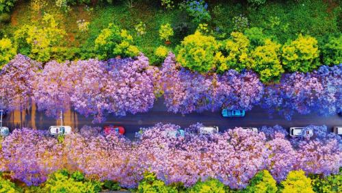 One city, one raider, enjoy Yunnan - spring city of Kunming