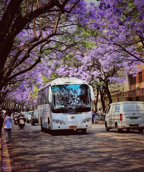One city, one raider, enjoy Yunnan - spring city of Kunming