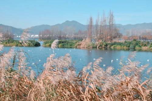 One city, one raider, enjoy Yunnan - spring city of Kunming