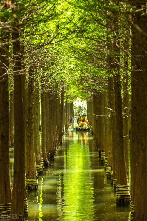 One city, one raider, enjoy Yunnan - spring city of Kunming
