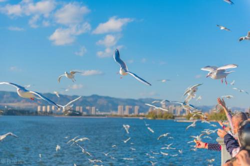 One city, one raider, enjoy Yunnan - spring city of Kunming