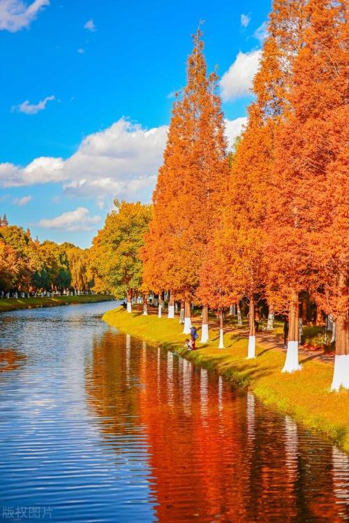 One city, one raider, enjoy Yunnan - spring city of Kunming