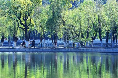 One city, one raider, enjoy Yunnan - spring city of Kunming