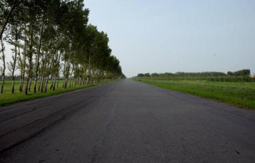 In a small county town in Heilongjiang province, tens of thousands of Shandong people came to "master wasteland", why are there few of them now?