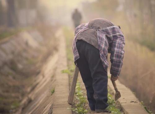People from Henan and Sichuan are on list of most hardworking and hardy provinces in China. Who do you think is more hardy?