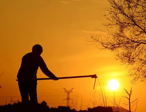 People from Henan and Sichuan are on list of most hardworking and hardy provinces in China. Who do you think is more hardy?