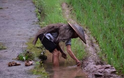 People from Henan and Sichuan are on list of most hardworking and hardy provinces in China. Who do you think is more hardy?
