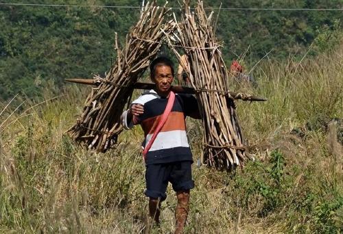 People from Henan and Sichuan are on list of most hardworking and hardy provinces in China. Who do you think is more hardy?