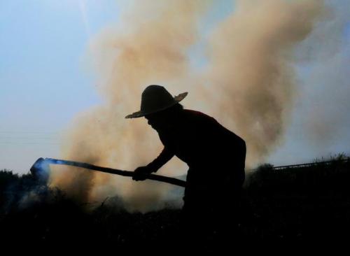 People from Henan and Sichuan are on list of most hardworking and hardy provinces in China. Who do you think is more hardy?