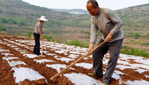 People from Henan and Sichuan are on list of most hardworking and hardy provinces in China. Who do you think is more hardy?