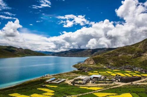 There are 800 million fish hidden in reservoir of Tibet, my country, which was flooded, why don't locals want to catch them?