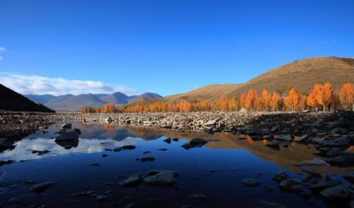 There are 800 million fish hidden in reservoir of Tibet, my country, which was flooded, why don't locals want to catch them?