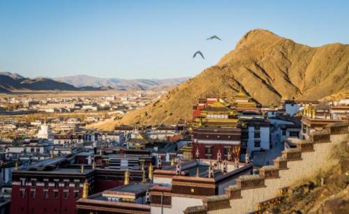 There are 800 million fish hidden in reservoir of Tibet, my country, which was flooded, why don't locals want to catch them?
