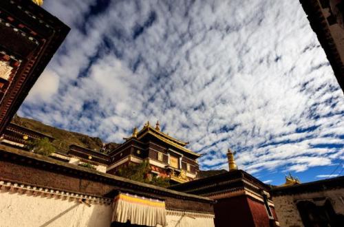 There are 800 million fish hidden in reservoir of Tibet, my country, which was flooded, why don't locals want to catch them?