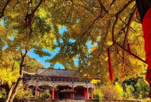 Two cities in China named after "Buddha" are located in provinces of Guangdong and Shaanxi, and inhabitants stand up for kindness of people's hearts.