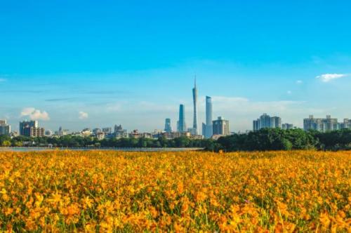 If you hear someone say you're from "Henan" in Guangzhou, don't assume they're from Henan.
