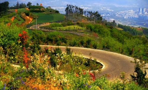 They wanted to save this road in our country, but they accidentally created a world road miracle
