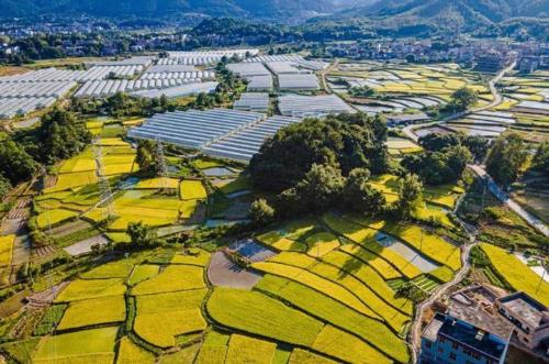 The fastest growing county in Jiangxi, with high-rise buildings on both sides of the river, rich red culture and beautiful scenery.