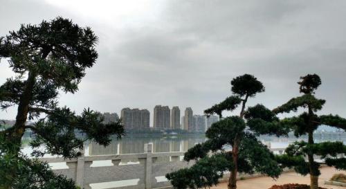 The fastest growing county in Jiangxi, with high-rise buildings on both sides of the river, rich red culture and beautiful scenery.