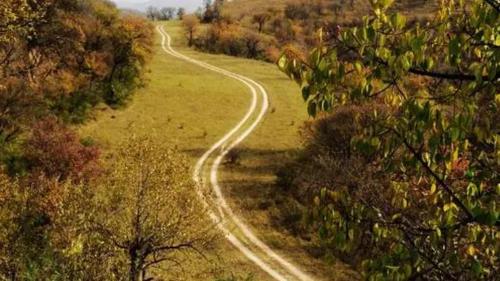 It is said that first "high-speed road" in my country with a length of more than 800 kilometers was built by Qin Shi Huang without grass.